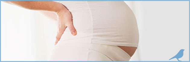 chiropractor for pregnant women in vernon bc